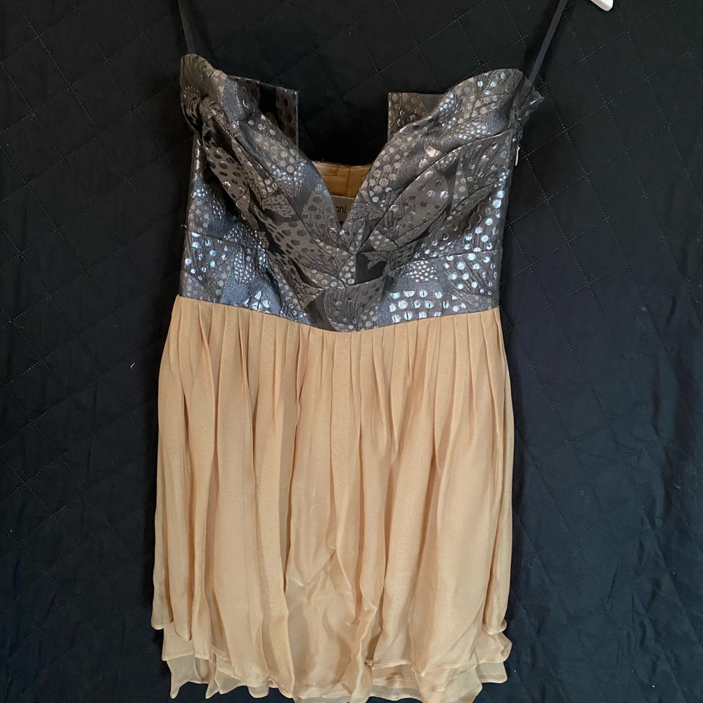 Anilee Strapless Dress